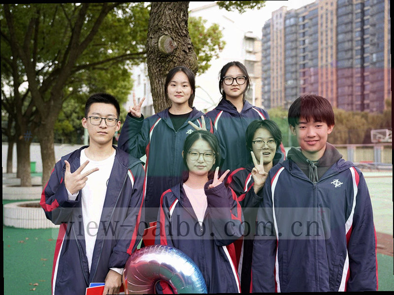 浏览器窗口的抽象轮廓，内部是数据图表和赛程时间线